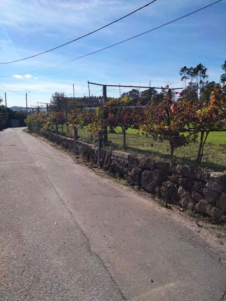 Vendo Terreno em Cruz