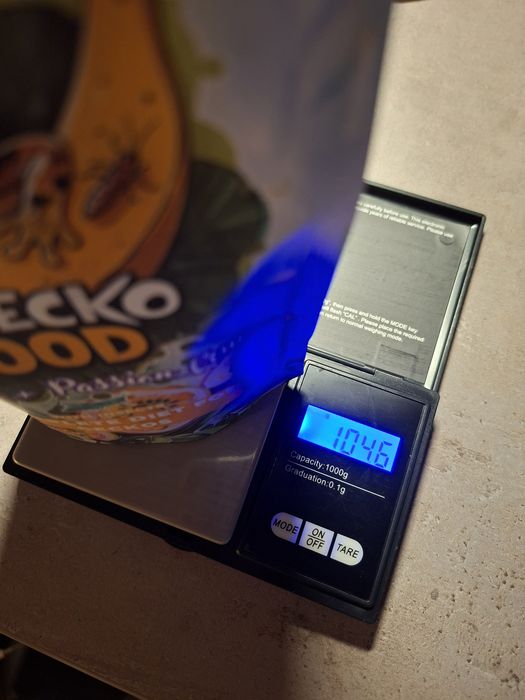 Pokarm dla gekona orzęsionego biogecko