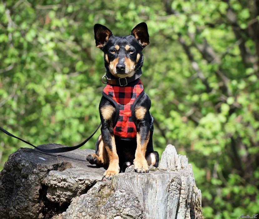 Maleńki Filip czeka na dom.