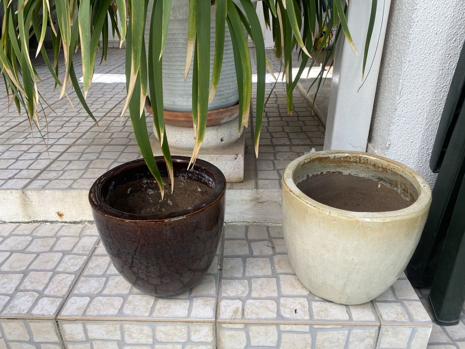 Vasos de Cerâmica