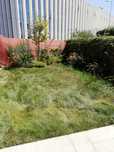 Jardins e serviços