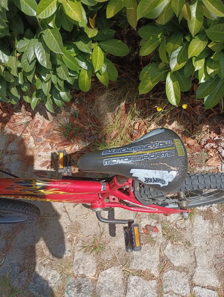 Bicicleta criança