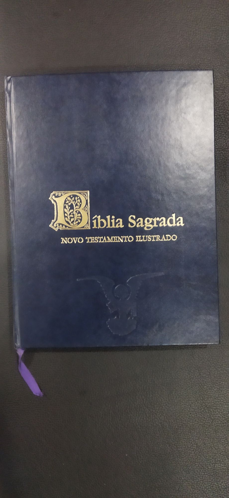 Bíblia sagrada, novo testamento.