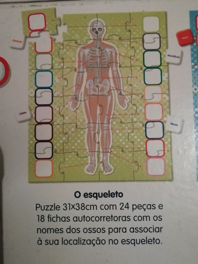 Jogos educativos Clementoni