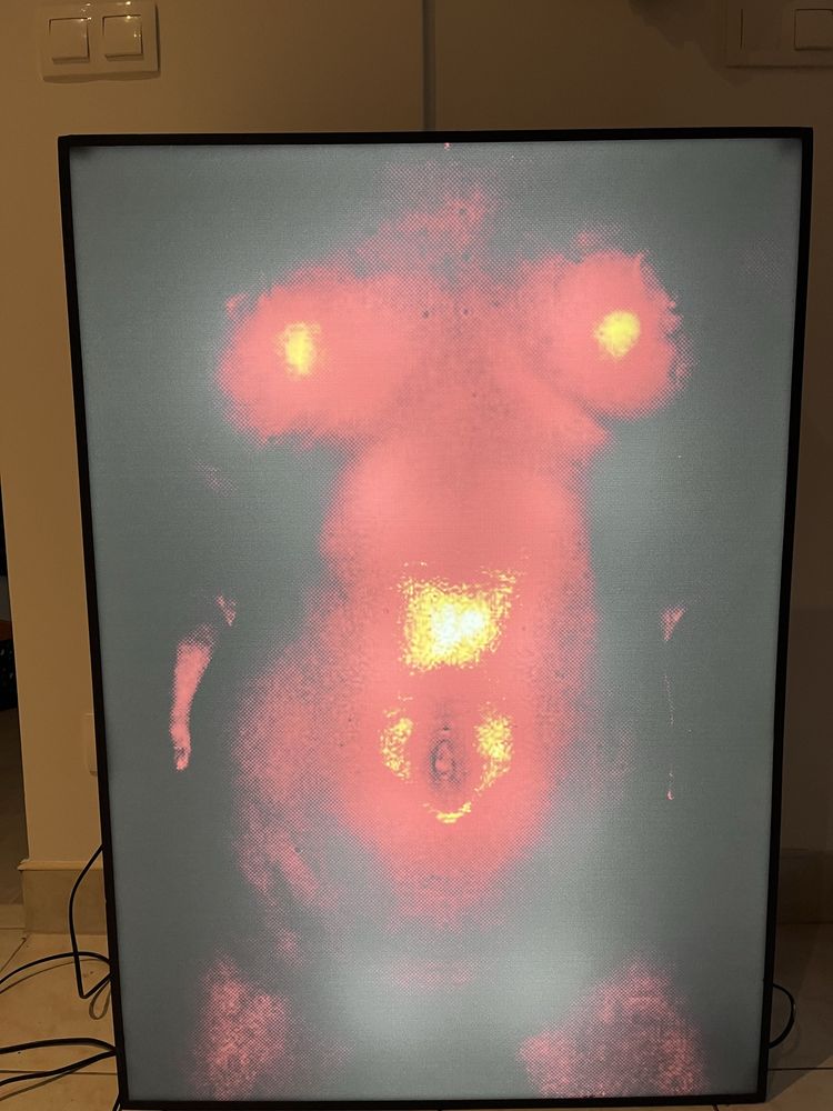Akt erotyka lightbox neon nagość