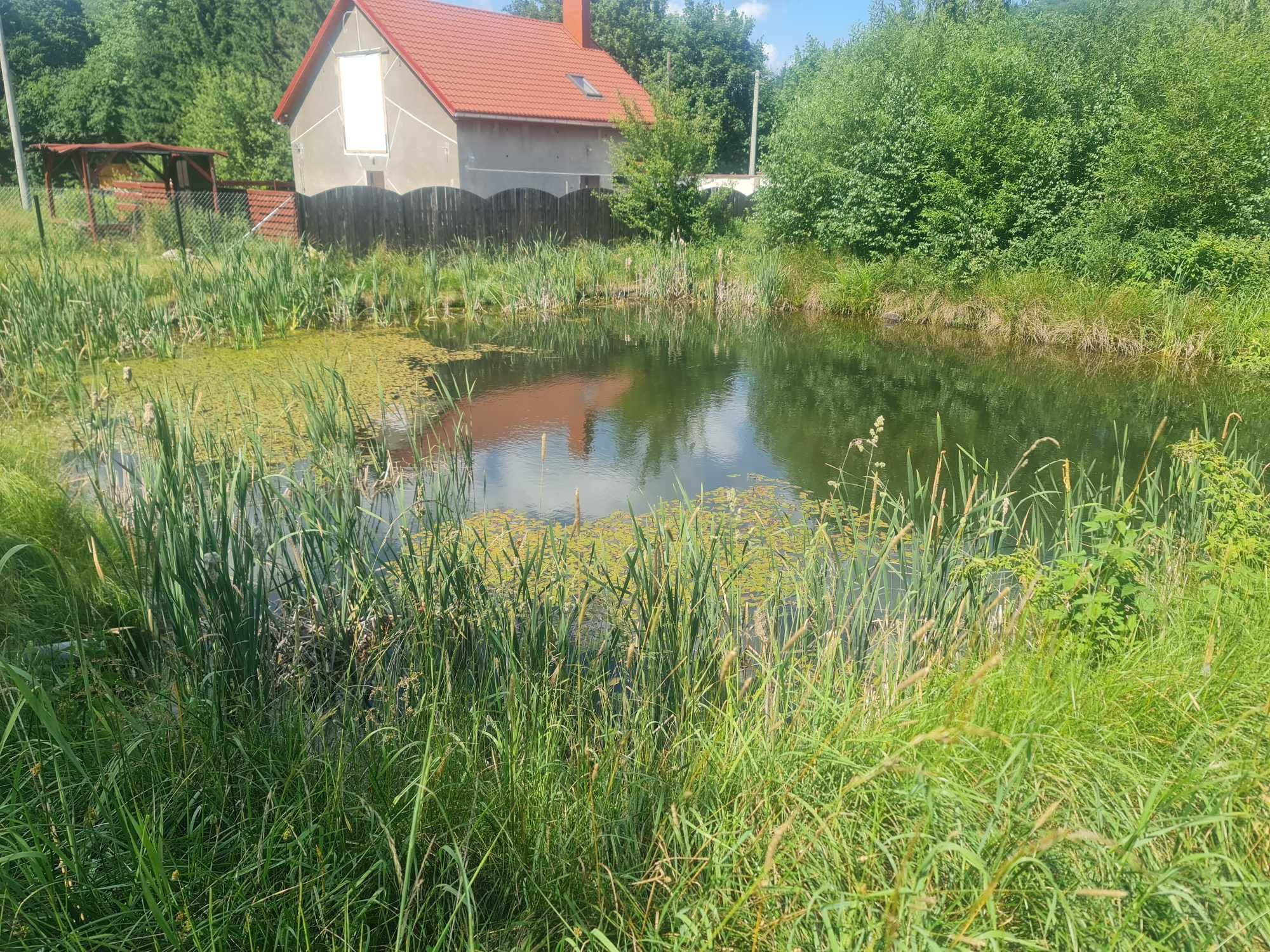 Przestronny dom w otulinie lasów