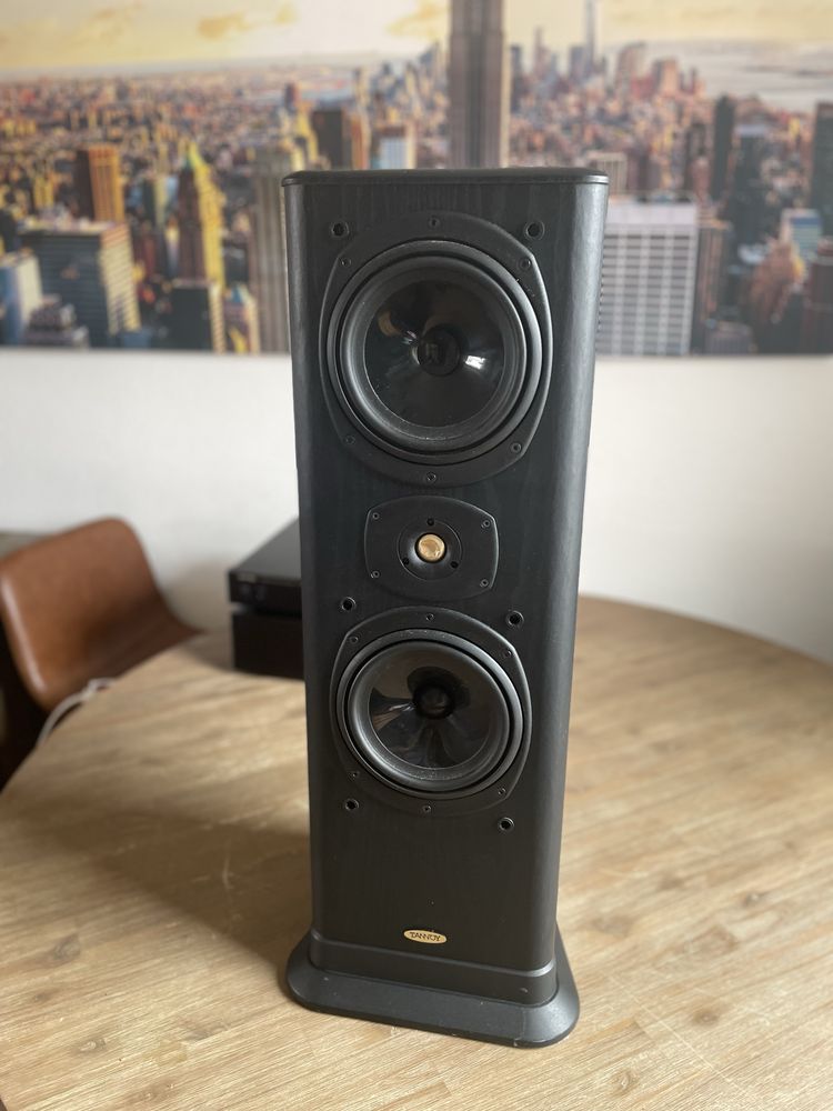 Kolumny Tannoy D30 633