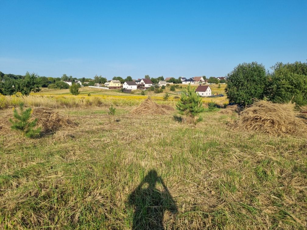 Віддам сіно Безкоштовно