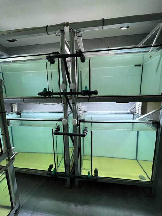 Продам Акваріумне господарство. Акваріуми. 7 тон