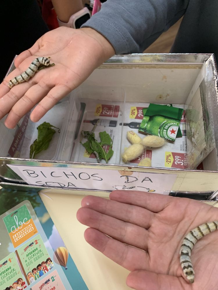 Bichinhos da seda