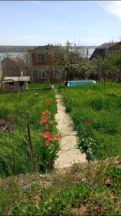 Продается дом/дача в с. Отрадово