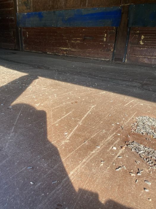 Продам полуприцеп бортовой зерновоз на подушках