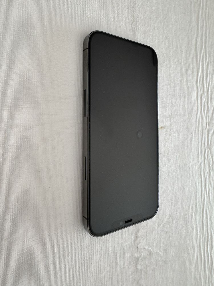 iPhone 12 Pro Max 256GB + Capa