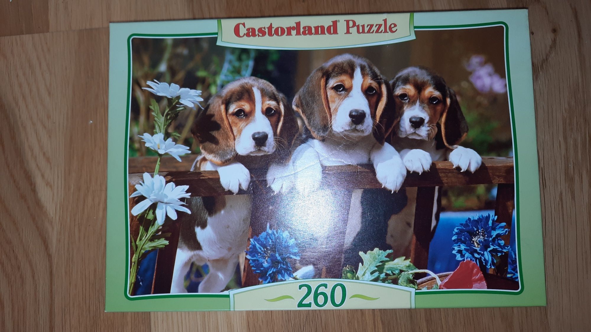 Puzzle 260 elementów