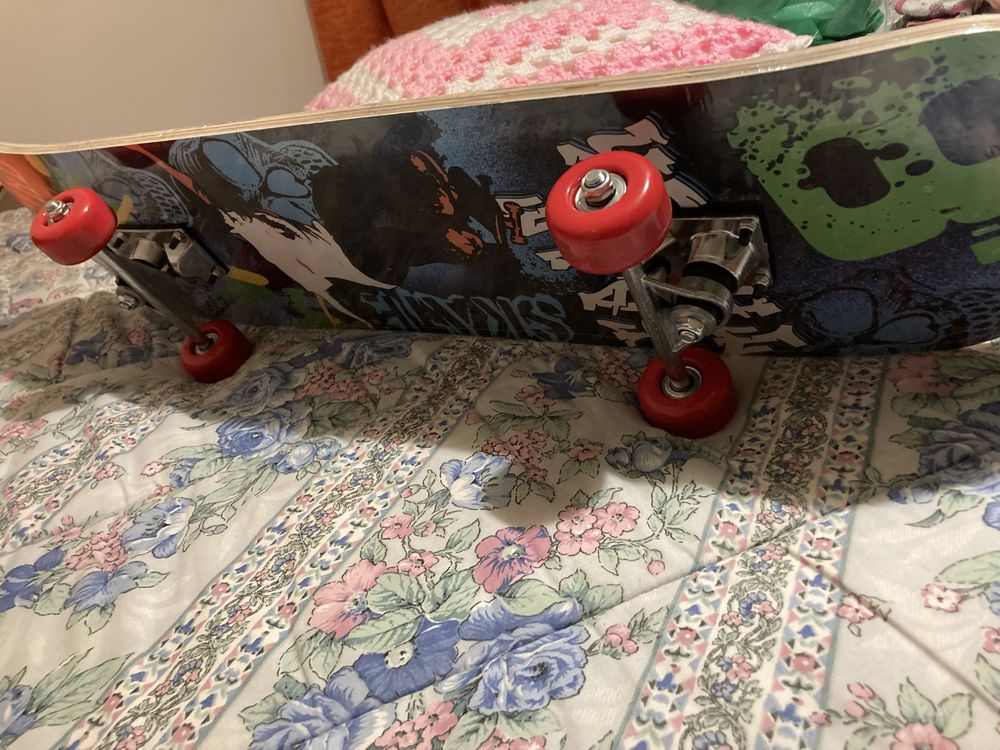 Skate novo unisexo