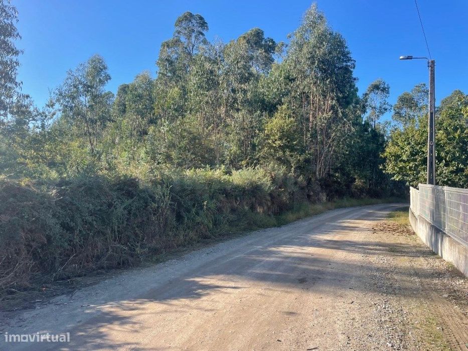 Terreno Industrial - Viatodos