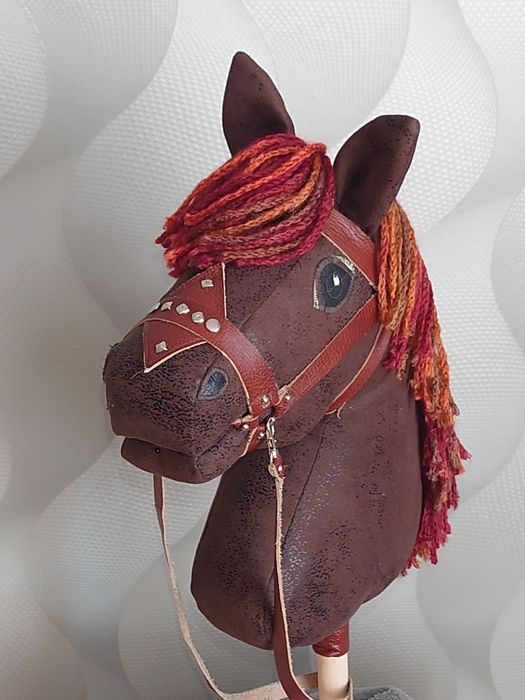Hobby horse  konik