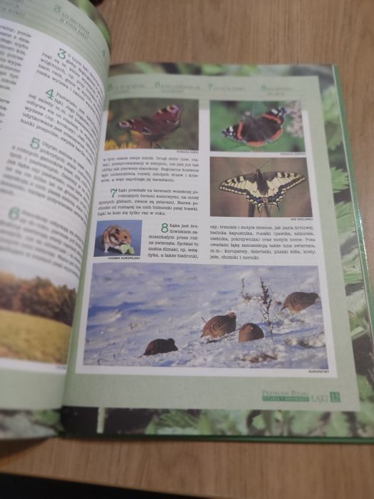 Przyroda Polska pytania i odpowiedzi