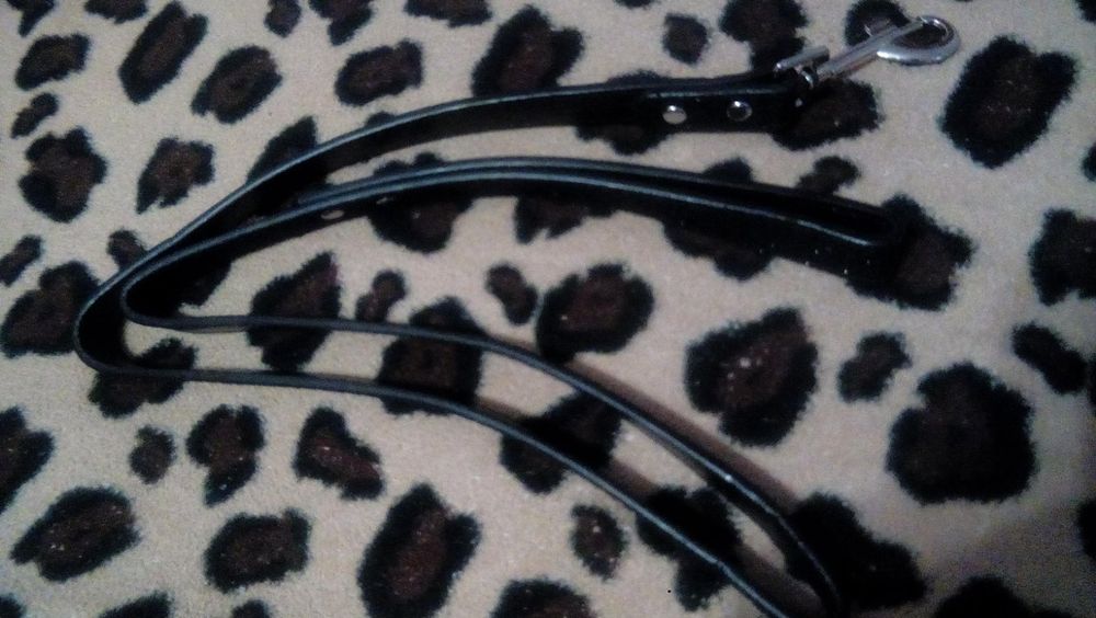 Поводок для животных