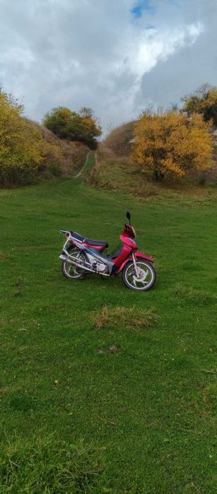 Вайпер актив 110