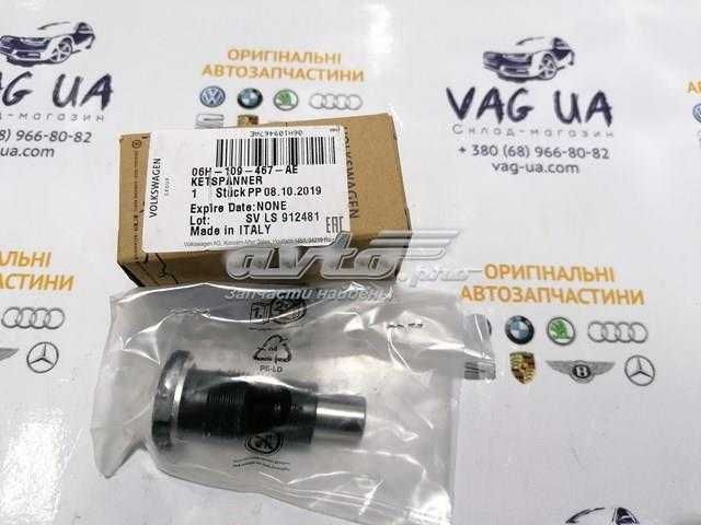 06H109467AE VAG натяжитель цепи грм