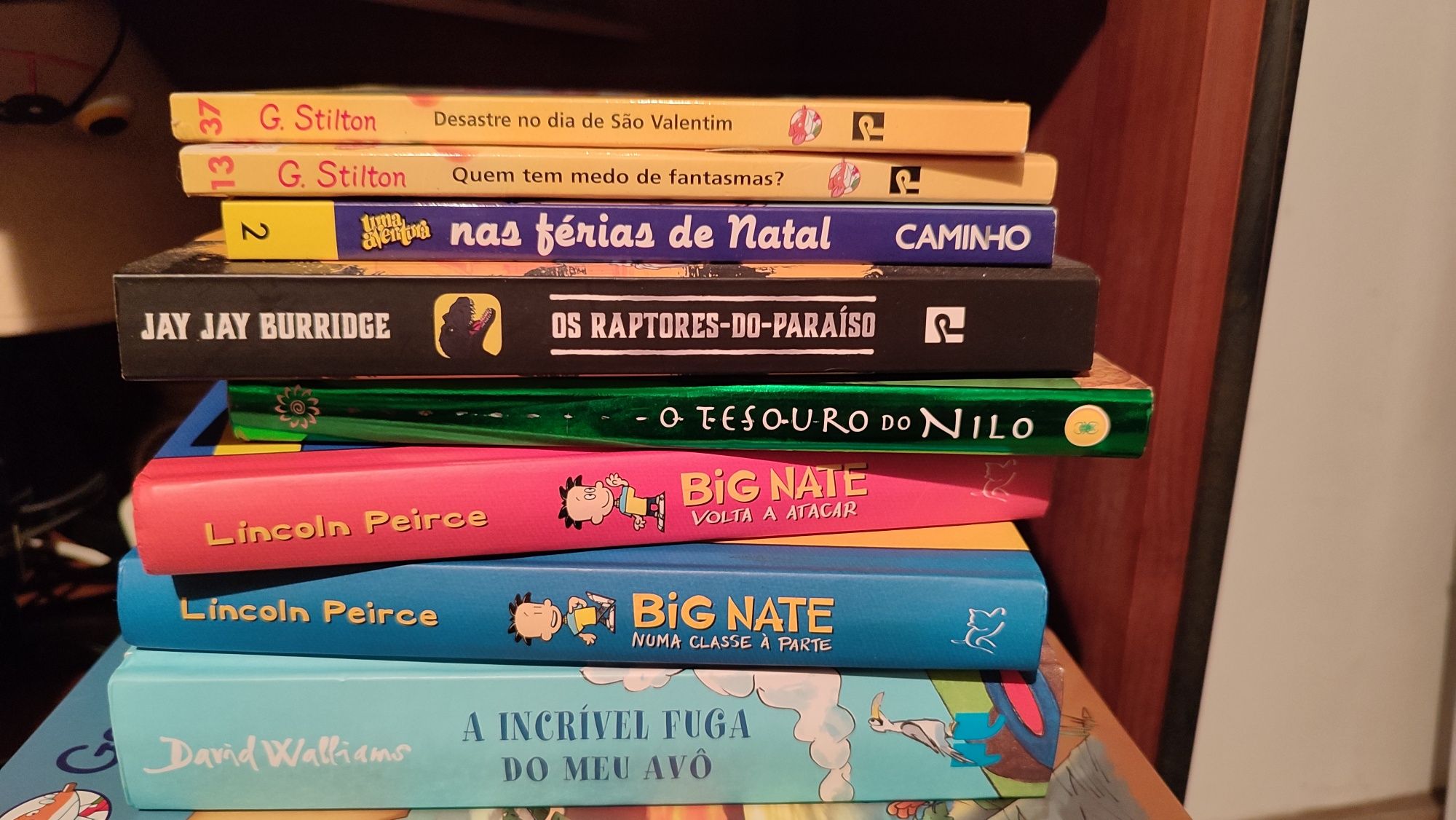 Livros infanto/juvenis vários autores