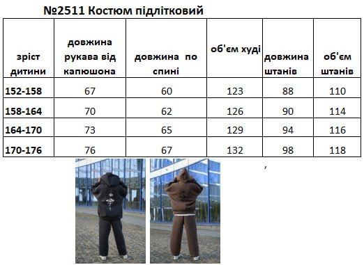 Теплий костюм на дівчинку тринитка на флісі