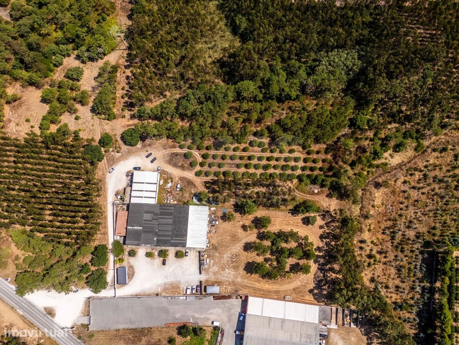 Terreno com 7950m2, perto das praias da Nazaré e São Martinho do Porto