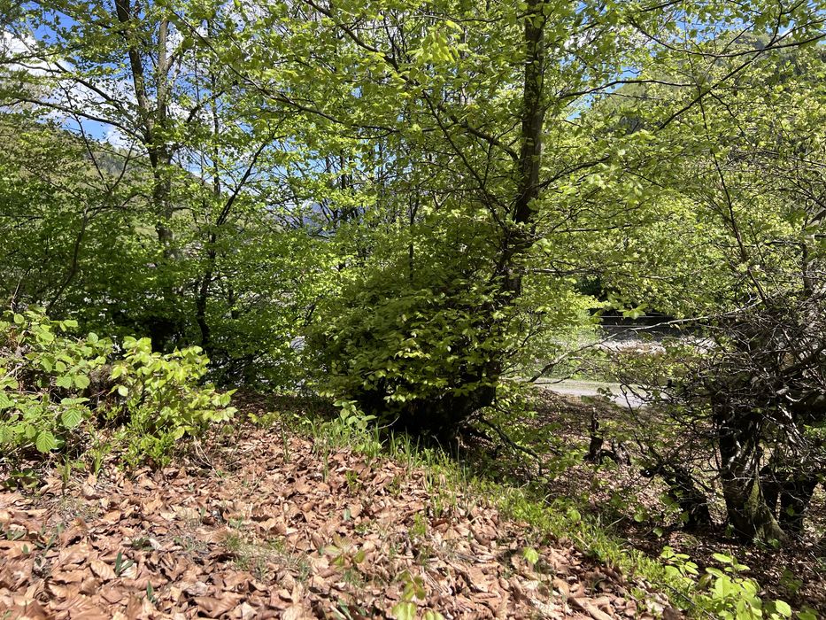 Крута локація у селі Мерешор ділянка 7 сотих