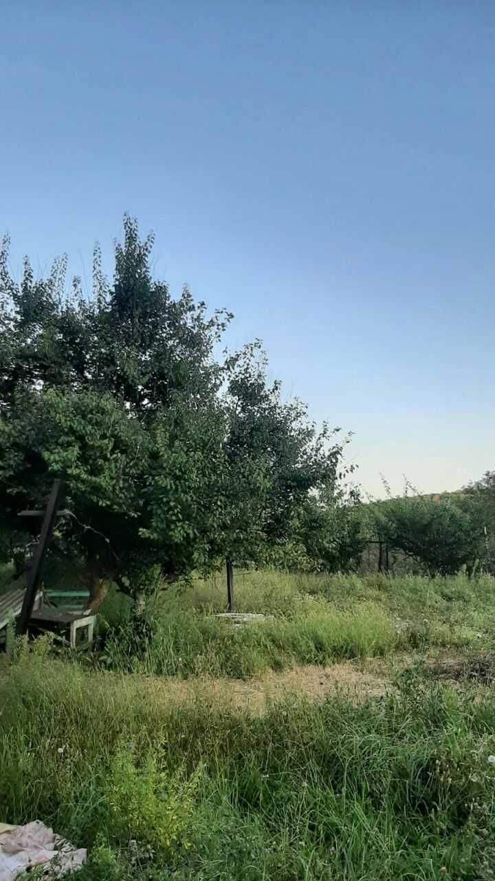 Продам дом Васищево