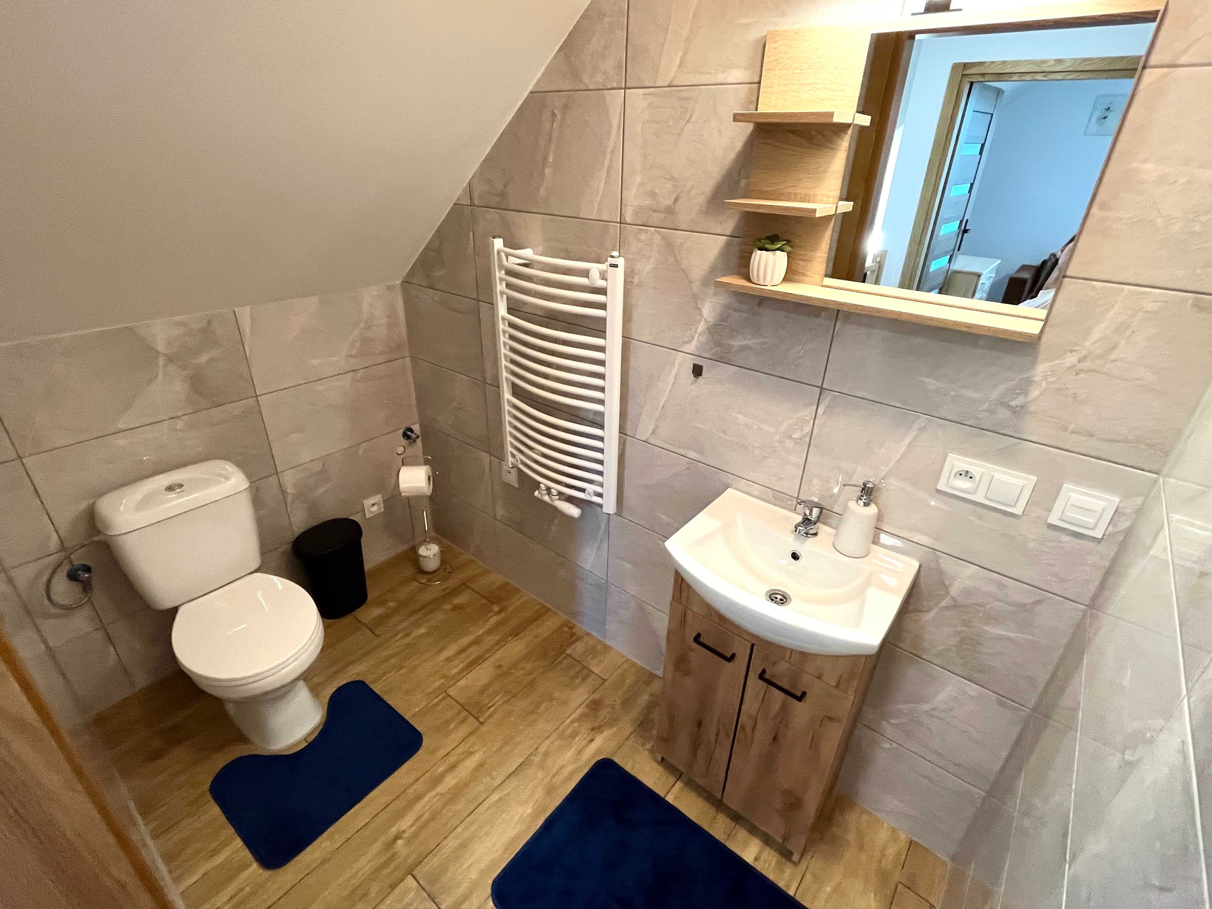 Apartamenty - dom domki pokoje nocleg Swornegacie Bory Tucholskie