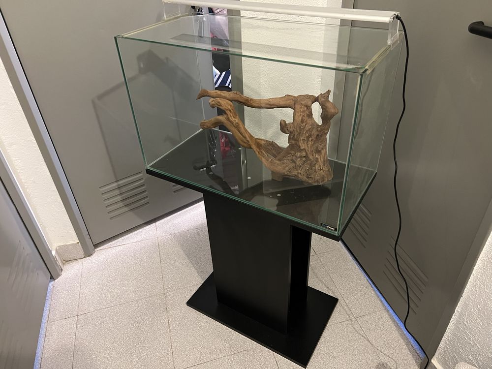Aquario 70L + móvel