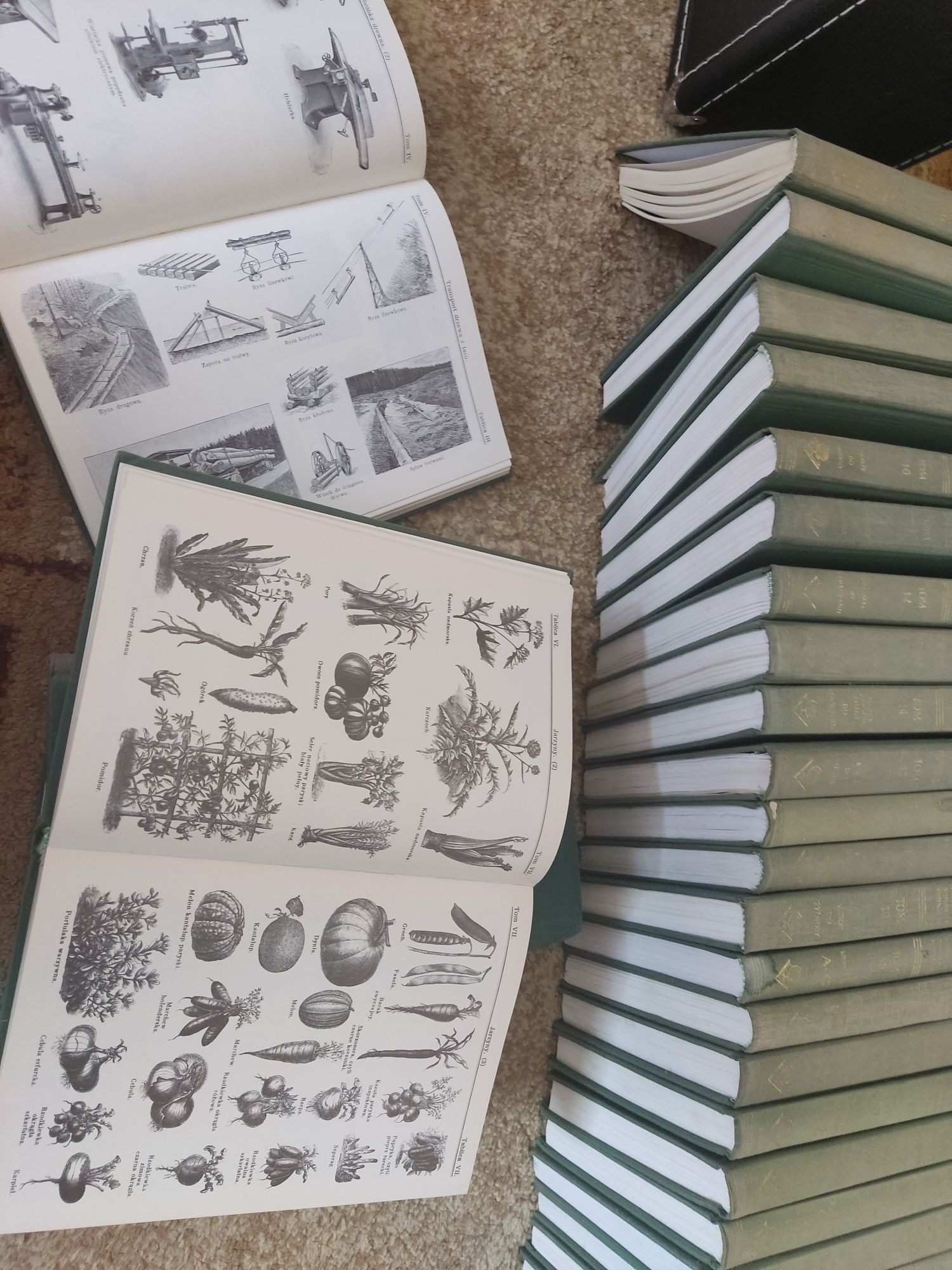 Encyklopedia Gutenberga 36 książek