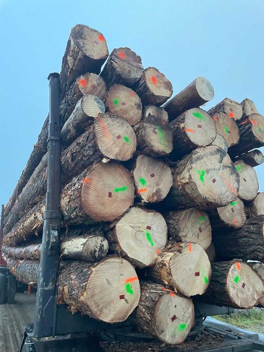 Więźba dachowa, kantówki, belki, łaty, deski.