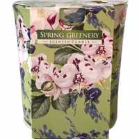 Świeca zapachowa Spring greenery ok22h w szkle zapach do wyboru