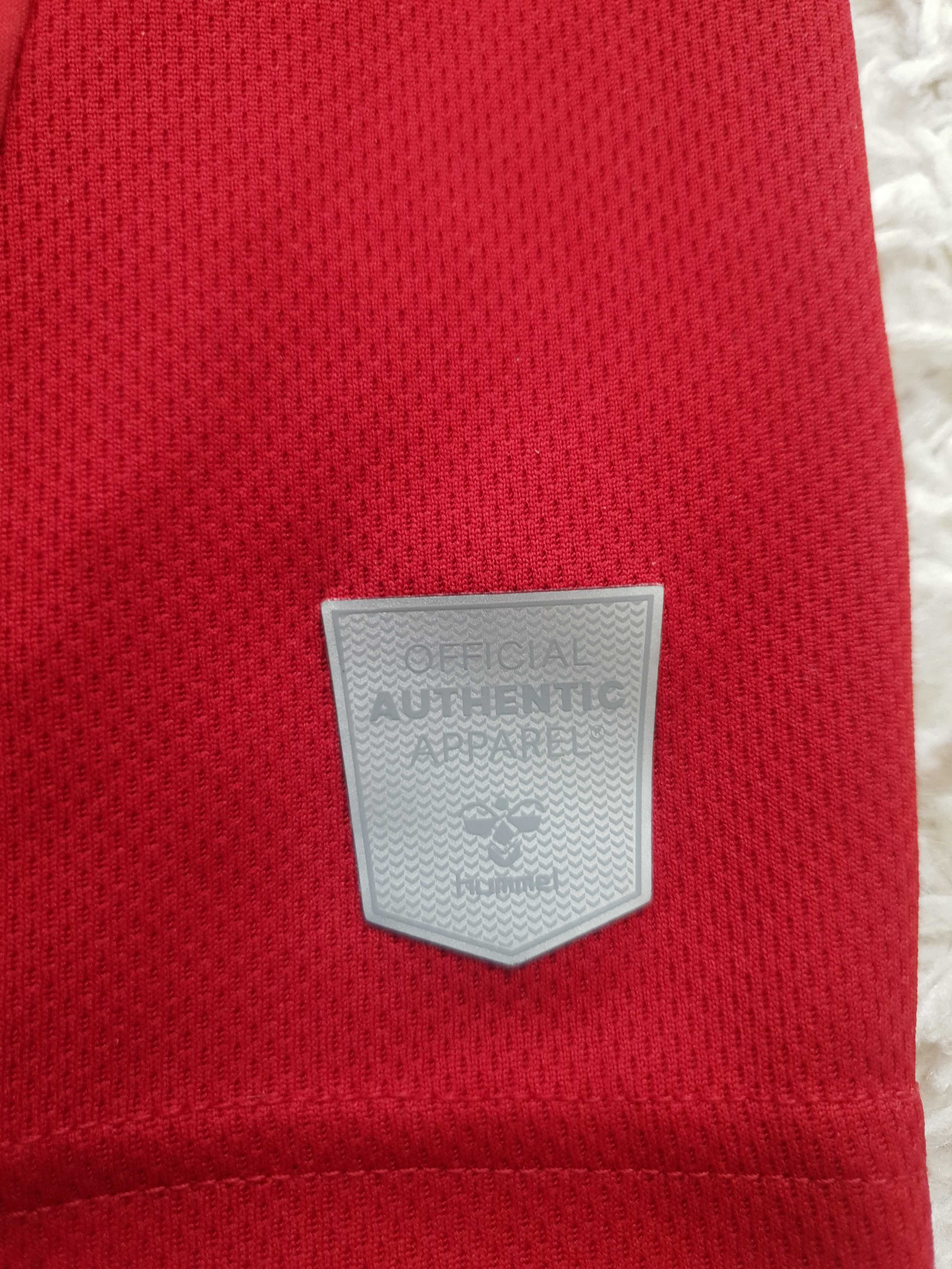футболка Hummel Middlesbrough
