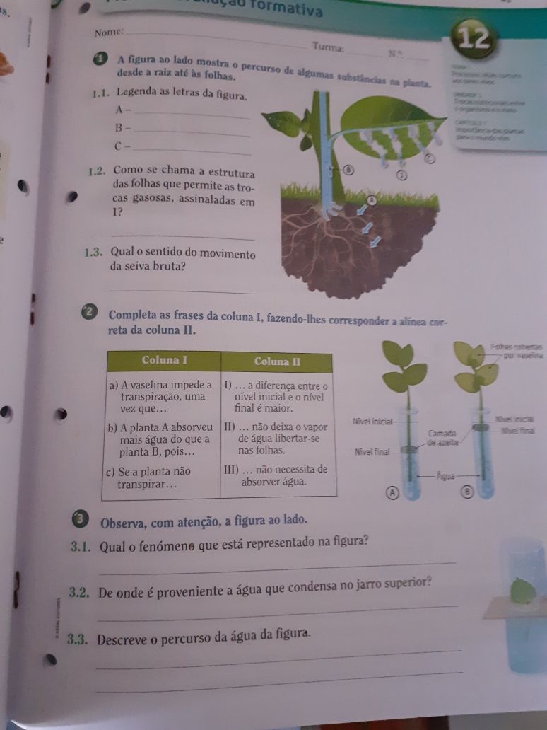 Caderno Atividades -CSI Ciências da Natureza 6.º ano