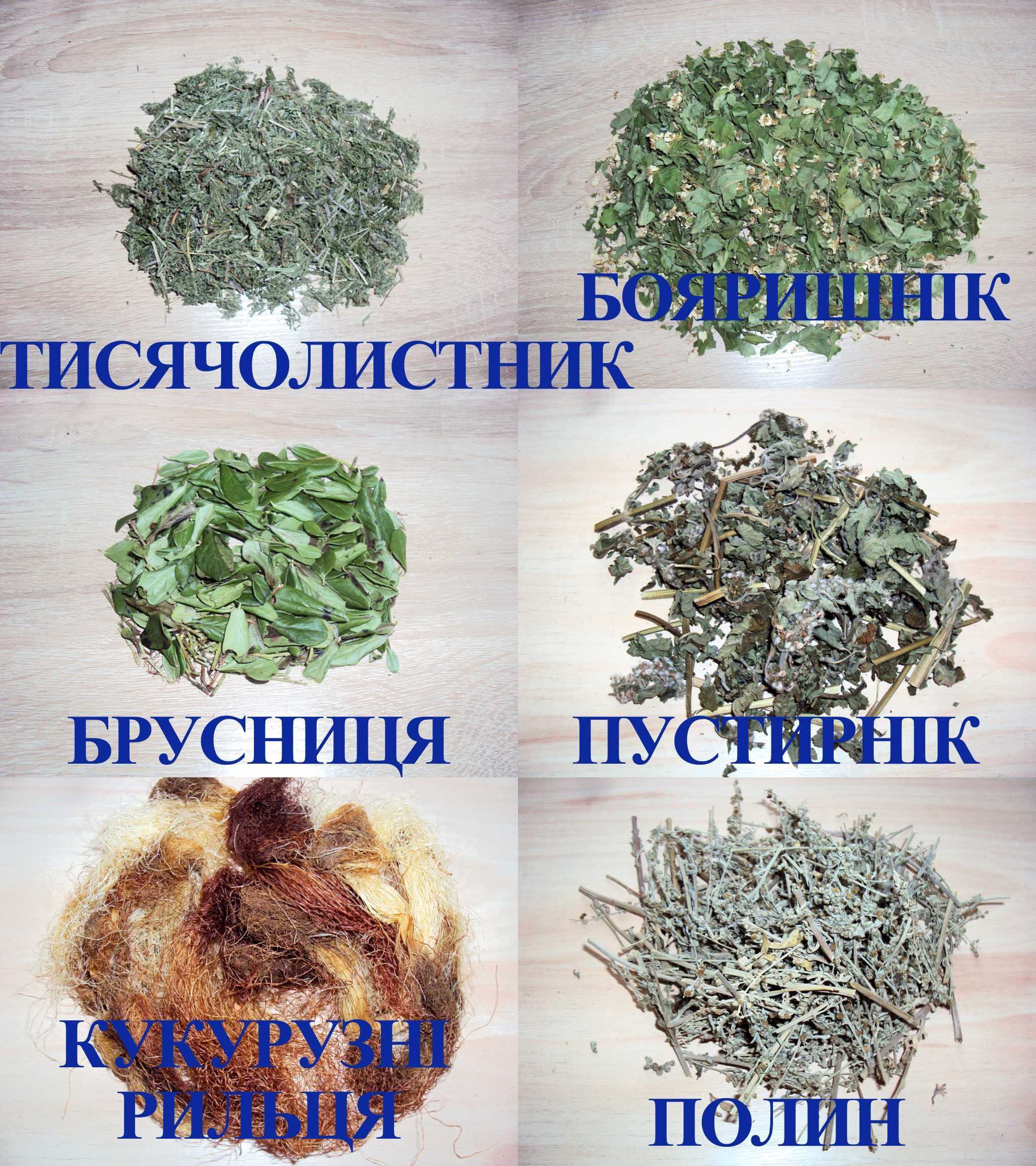 Тисячолистник. Бояришнік. Брусниця. Пустирнік. Полин. Кукурузні рильця