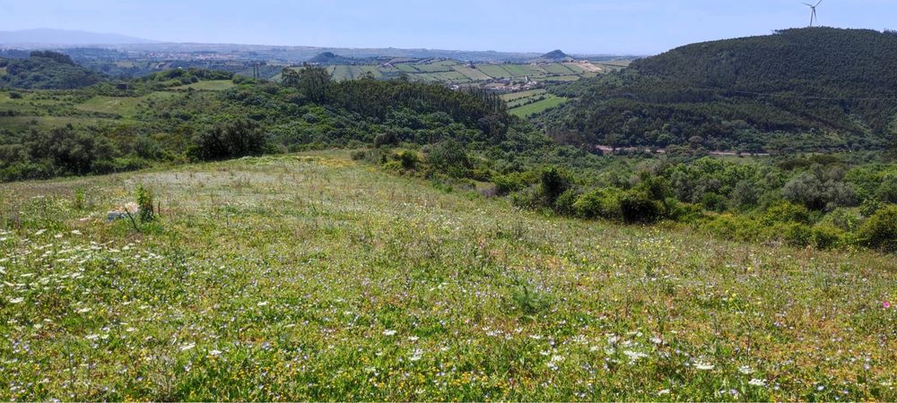 Terreno rustico em Mafra