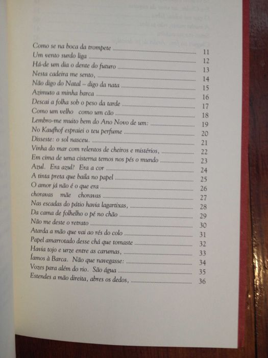 Pedro Tamen - Memória indescritível