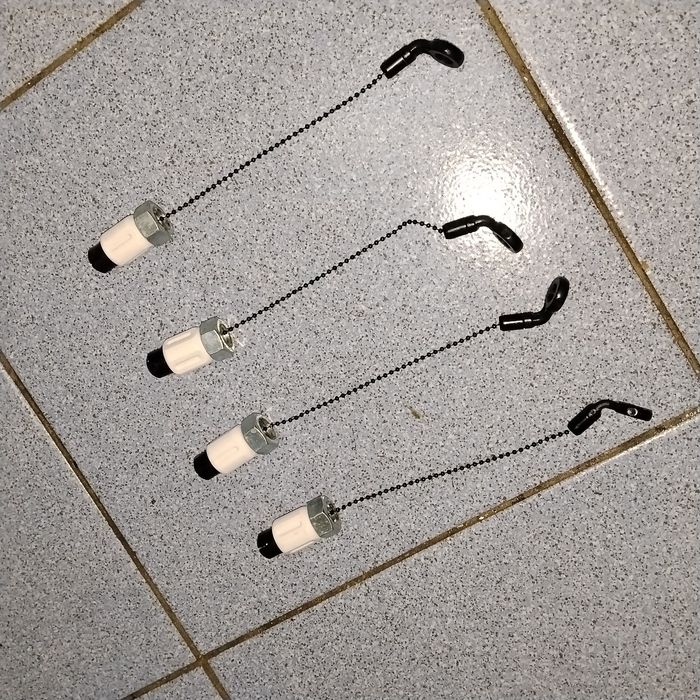 Карпов і свінгера