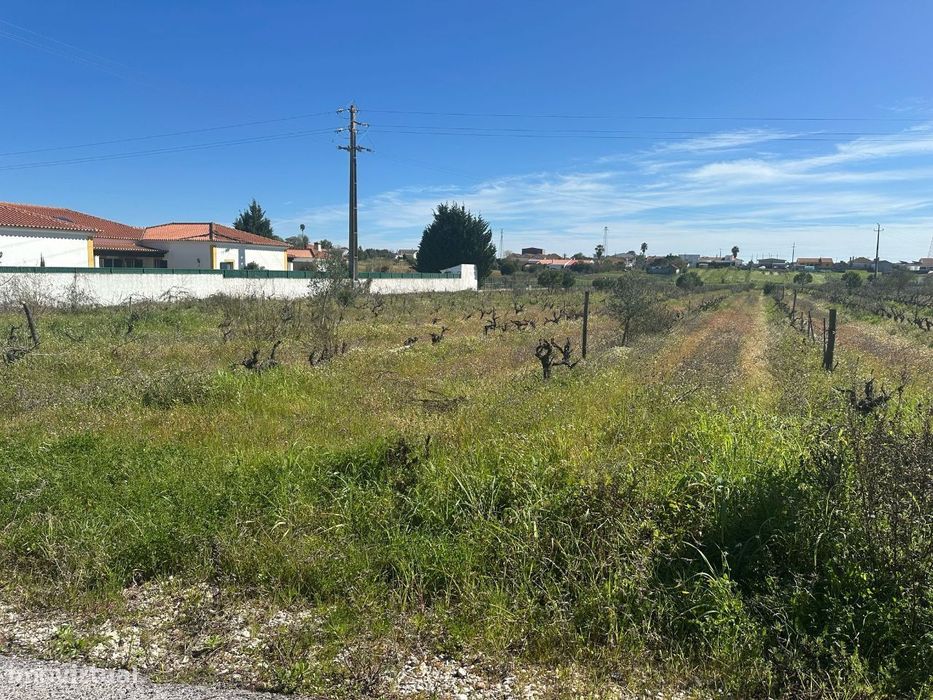 Terreno 5000m2 Urbanizavel