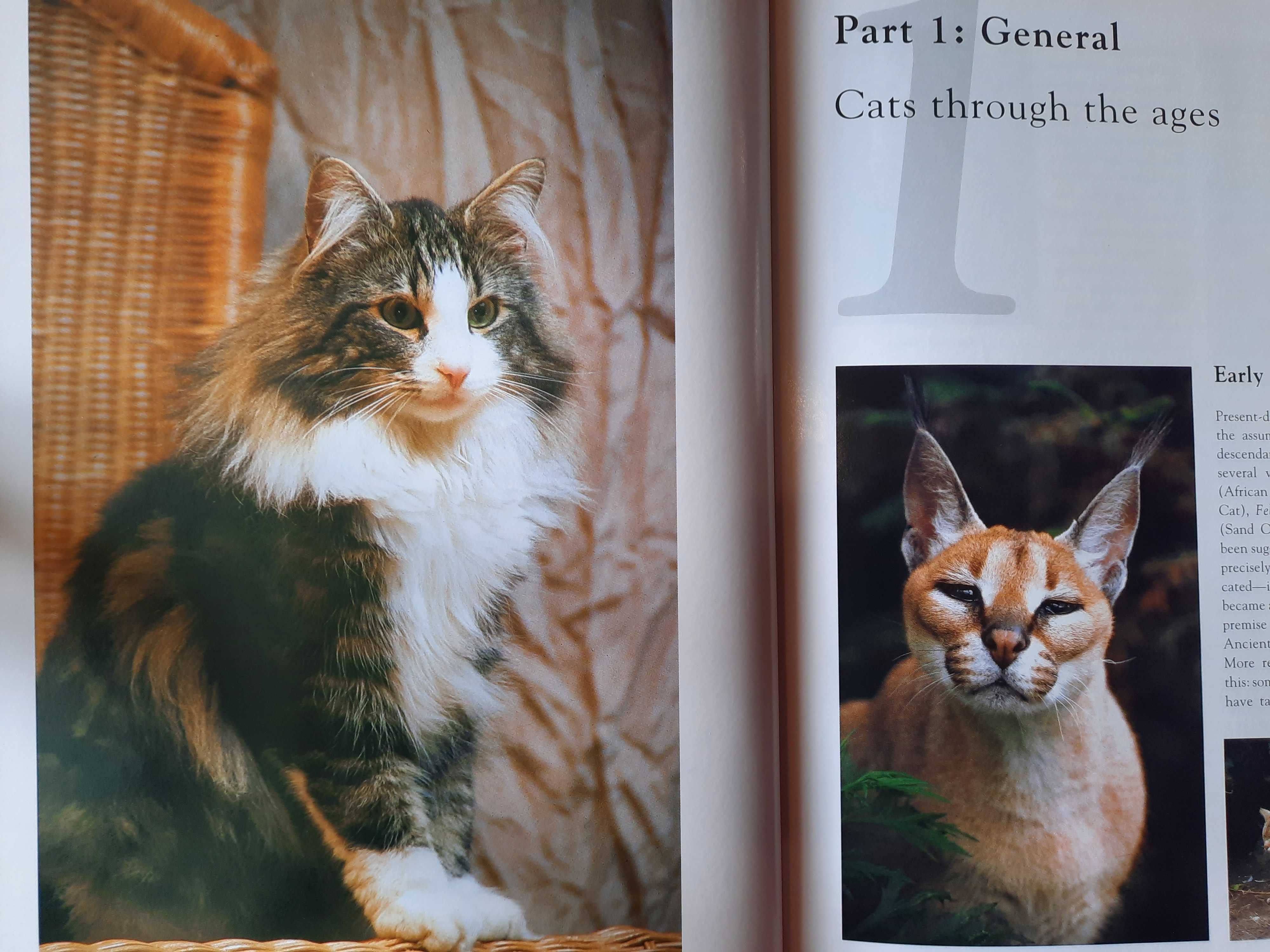 The complete encyclopedia of Cats