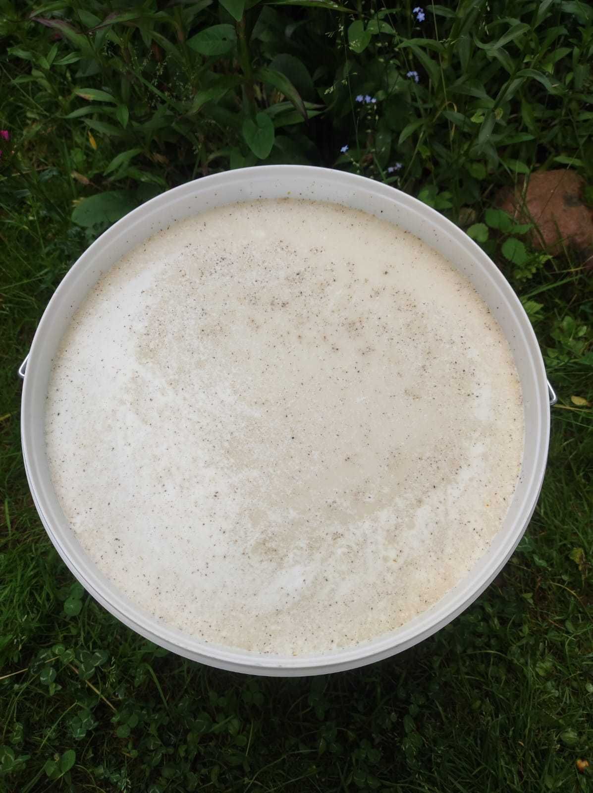 Sprzedam miód rzepakowy