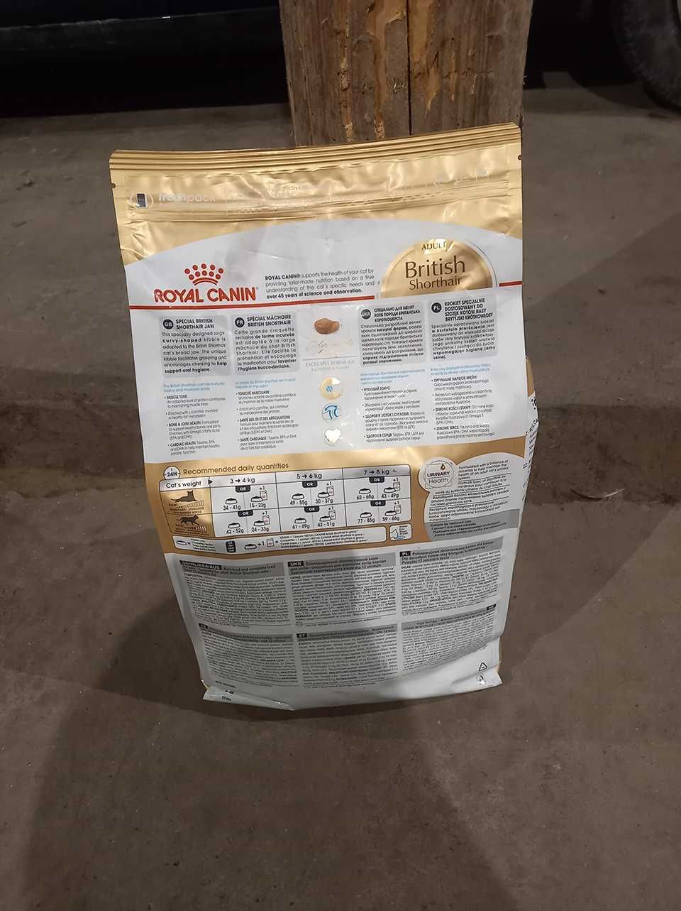 Karma Royal Canin Adult British Shorthair - worek 4kg