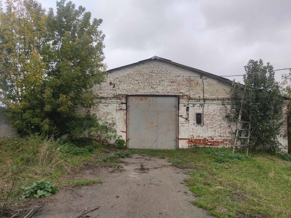 Продам приміщення (ферма)