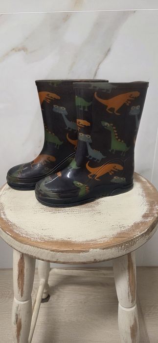 Kalosze chłopięce w dinozaury 29