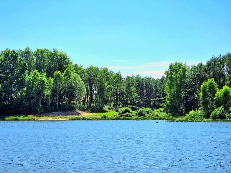 piękna działka z widokiem na jezioro i dostępem do linii brzegowej