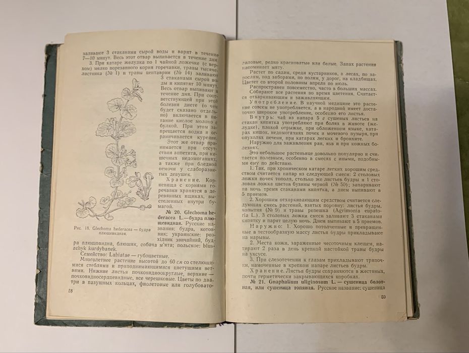 Лекарственные растения и способы их применения в народе. М. А.Носаль.