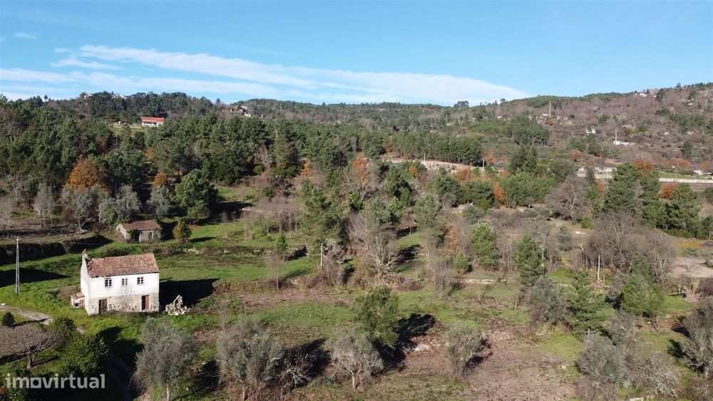 Quinta  Venda em Fornos de Algodres,Fornos de Algodres